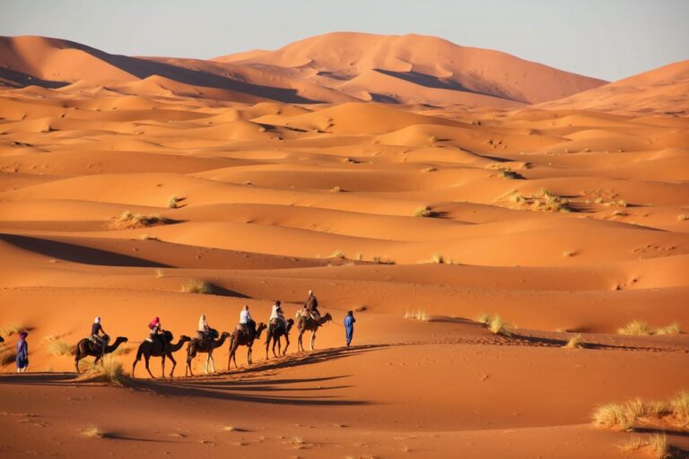 Desert Of Merzouga With Some Camels