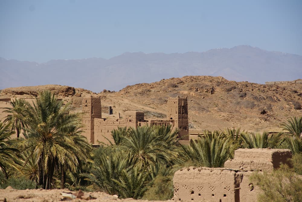 Skoura Oasis Palm Tree Grove